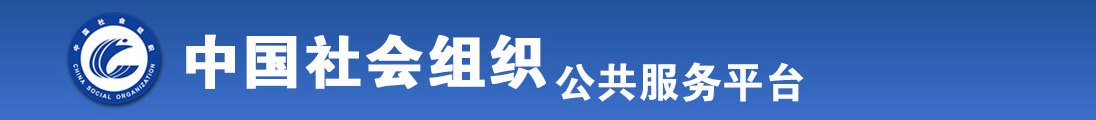 欧美插bb网全国社会组织信息查询